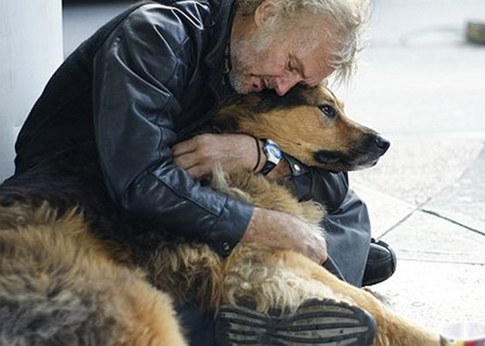 Přečtete si více ze článku Euthanasie